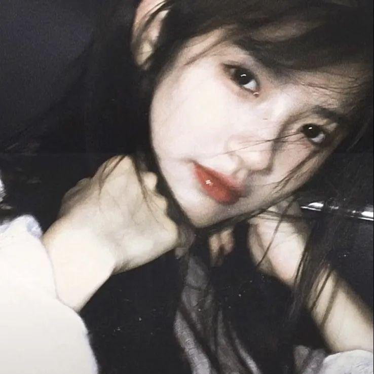兔子镇的火狐狸