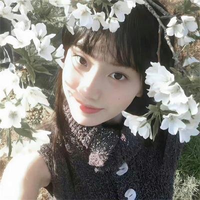维琴河第六季